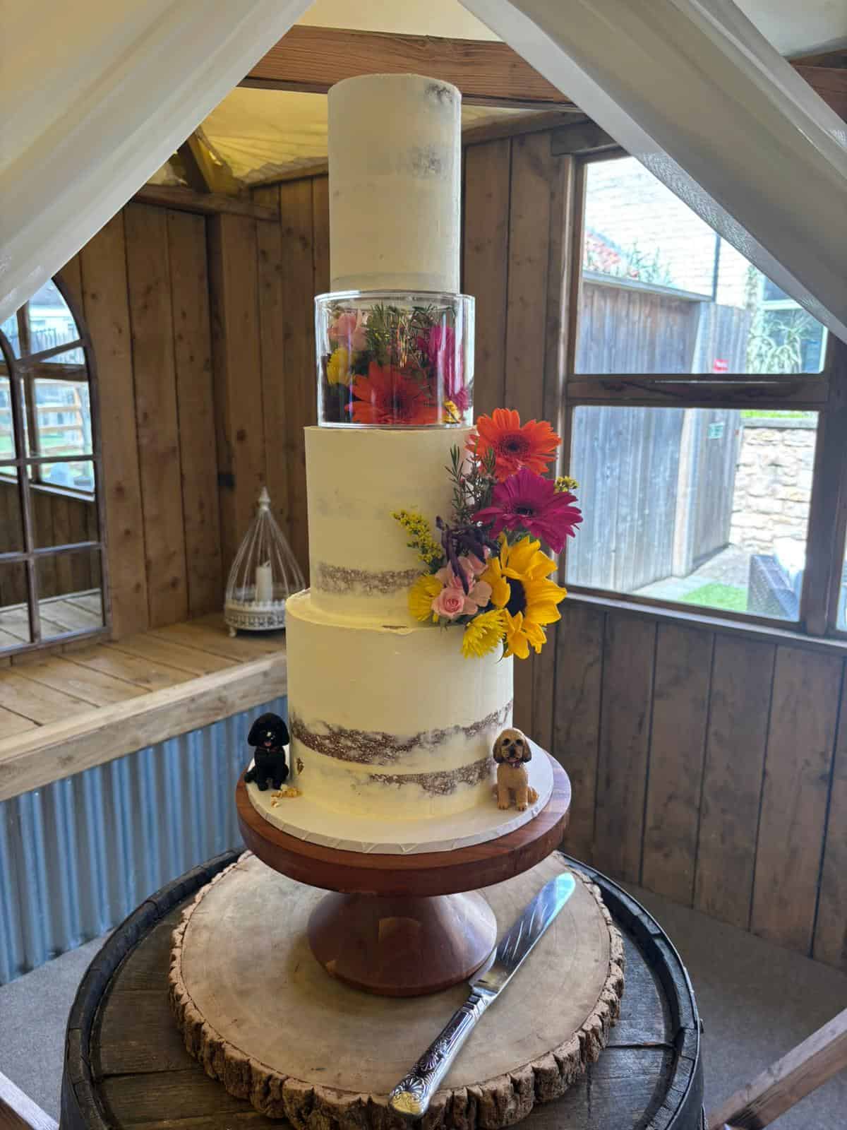 Congratulations lisa and claire